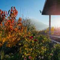 زمین ۱۵۰ متری سین آباد