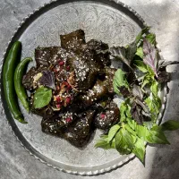 دلمه ی خانگی (خونگی) درجه یک با بهترین مواد اولیه|خوردنی و آشامیدنی|مشهد, هفده شهریور|دیوار