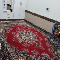 قالی بسیار تمیز دست بافت ۱۲ متری بدون پارگی|فرش|اهواز, اسلام آباد غربی|دیوار