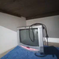 تلویزیون