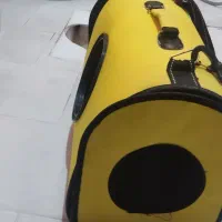 لونه گربه|لوازم جانبی حیوانات|شیراز, امام حسین|دیوار