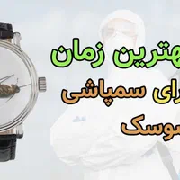 سمپاشی بدون بازگشت و تضمینی|خدمات نظافت|تهران, پاسداران|دیوار