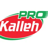 فروشنده بومی تویسرکان