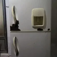 یخچال سالم نیاز به رنگ