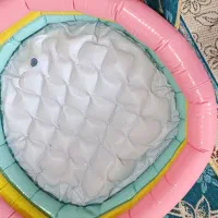 استخر توپ نو