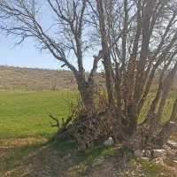 گلستان سه