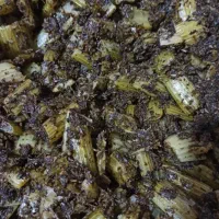 به علت افتتاحیه غرفم همه محصولات قیمت پایین