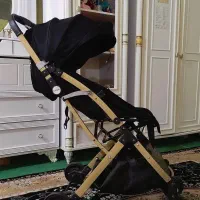 کالسکه اسپرت