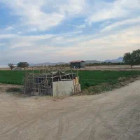 شراکت نیاز ب سرمایه با سود خوب|حیوانات مزرعه|اصفهان, برازنده|دیوار