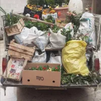باغبانی و سمپاشی قرچک ورامین خاورشهر و