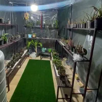 قفسه گل خانه|فروشگاه و مغازه|مرودشت, بیست متری بیمارستان|دیوار