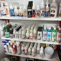 شامپو اسپری کک کنه قرص انگل شامپو خشک پنجه