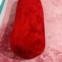 یاستیخ
