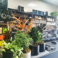 باریستا کمک باریستا کار در کافه پاره وقت|استخدام خدمات فروشگاه و رستوران|کرج, کلاک نو|دیوار