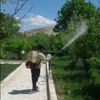 سم پاشی درخت کاری حرس گل کاری وپیوند