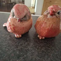 مجسمه جفتی سرامیکی گنجشک کاردینال (نماد عشق)