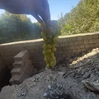 جوشکاروبنایی|خدمات پیشه و مهارت|مشهد, حسابی جنوبی (شهرک غرب)|دیوار