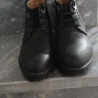 تعدادی کفش مردانه و زنانه تمیز