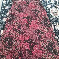 پیراهن کردیهاوشومیز نو نوودرحدنو وسلته نوو|لباس|کرمانشاه, |دیوار