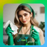 شرکت خدماتی نظافتی ارغوان ساعتی 160