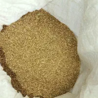 فروش گندم درجه یک|عمدهفروشی|کوار, |دیوار