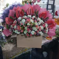 پخش گل هلندی و ایرانی