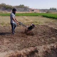 باغبانی تیلر زنی سمپاشی هرس