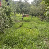 کلبه سوئیسی جنگلی|اجارهٔ کوتاهمدت ویلا و باغ|رشت, پسیخان|دیوار