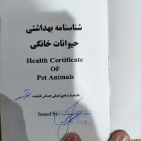 دو عدد شناسنامه سگ