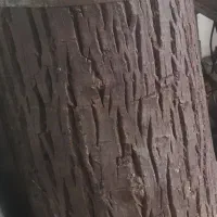 چرخ گوشت قصابی تنه درخت قصابی|کافی‌شاپ و رستوران|بیله سوار, |دیوار