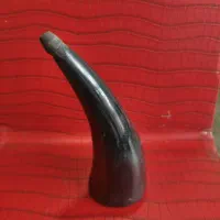 بادکش طبیعی شاخ گاومیش