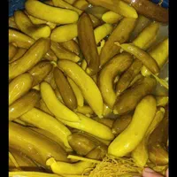خیارشور اعلا بروجرد .بطری ۱/۵لیتری .لذید خوشمزه|خوردنی و آشامیدنی|تهران, حکمت|دیوار