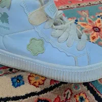 کفش|کیف، کفش، کمربند|اندیمشک, |دیوار