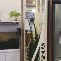 استند کنار کابینت|کتابخانه، شلف، قفسههای دیواری|خمینیشهر, |دیوار