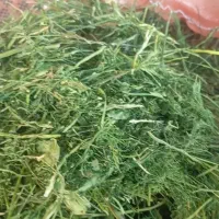 فروش شوید|خوردنی و آشامیدنی|جنت, |دیوار