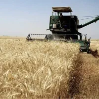 فروش زمین کشاورزی برا گلخانه و مرغداری با اب و برق