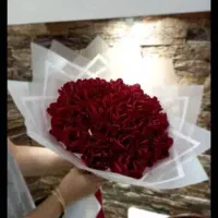 مژده مژده مژده مژده مژده