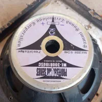 دو عدد میکروفون|سیستم صوتی خانگی|سبزوار, هویزه|دیوار