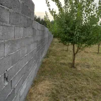 باغچه 1000متر با برق و دیوارکشی جاده طلاتپه