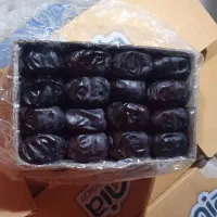 خرما درجه یک