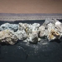 سنگ قیمتی|کلکسیون اشیاء عتیقه|پائین جام, |دیوار