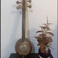 کمانچه پشت باز
