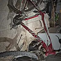 دوچرخه ویوا ۲۶ سند دار