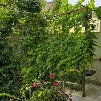 فروش منزل ویلایی ۲۰۰متری خیابان آتشگاه|فروش خانه و ویلا|اصفهان, جنیران (لادان)|دیوار