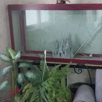 آکواریوم بزرگ