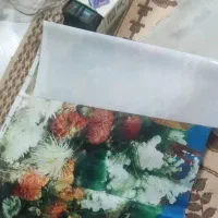 آکواریوم۸۰در۵۰|ماهی|اقبالیه, |دیوار