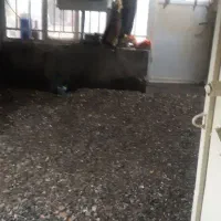 خانه ویلایی واقعه درجلالی|فروش خانه و ویلا|مشهد, شهرآباد|دیوار