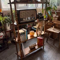 دکوری و ویترین چوب روس