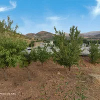 4قطعه-زمین-مسکونی-تک-برگ