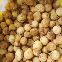 انجیر مخلوط درجه یک